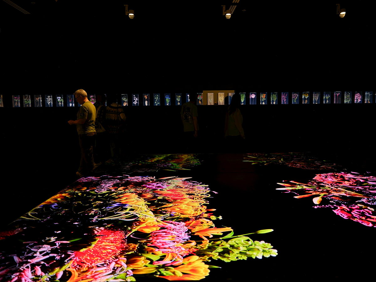 沉浸展覽